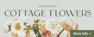 Gisborne Cottage Flowers